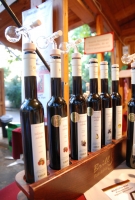 Pannon Bországgyűlés 2010