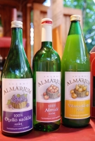 Pannon Bországgyűlés 2010