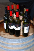 Pannon Bországgyűlés 2010