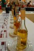 VinAgora Borgála 2010