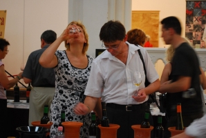 VinAgora Borgála 2010