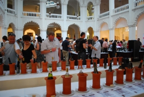 VinAgora Borgála 2010