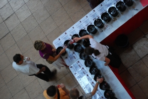 VinAgora Borgála 2010