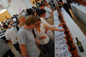 VinAgora Borgála 2010