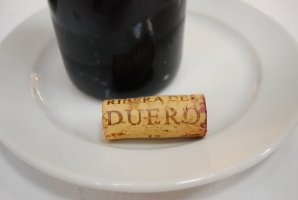 VinAgora Borgála 2010