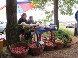 Képek egy Balaton parti piacról