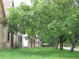 Györköny szőlősorai közt