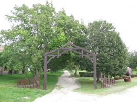 Györköny szőlősorai közt