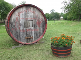 Györköny szőlősorai közt