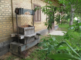 Györköny szőlősorai közt