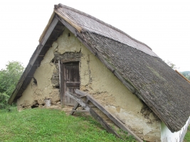 Györköny szőlősorai közt