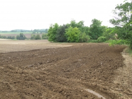 Györköny szőlősorai közt