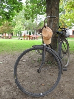 Györköny szőlősorai közt