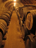 Györköny szőlősorai közt