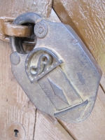 Györköny szőlősorai közt