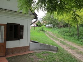 Györköny szőlősorai közt