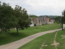 Györköny szőlősorai közt