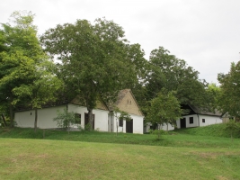 Györköny szőlősorai közt