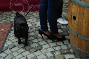 Valami véget ért...