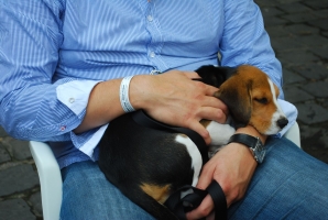 Valami véget ért...