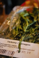 Jól gondoltuk eddig?