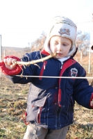 Vince nap Kisharsányban 2008