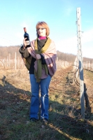 Vince nap Kisharsányban 2008