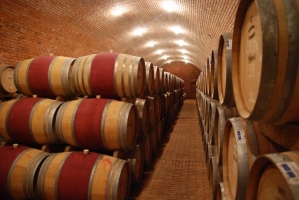 Vince nap Kisharsányban 2008