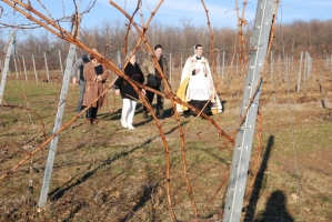 Vince nap Kisharsányban 2008