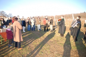 Vince nap Kisharsányban 2008