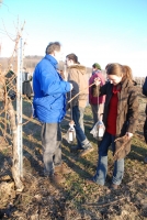 Vince nap Kisharsányban 2008