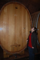 Vince nap Kisharsányban 2008