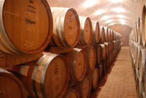 Vince nap Kisharsányban 2008