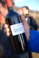 Vince nap Kisharsányban 2008