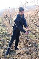 Vince nap Kisharsányban 2008