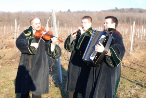 Vince nap Kisharsányban 2008