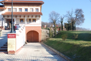 Vince nap Kisharsányban 2008