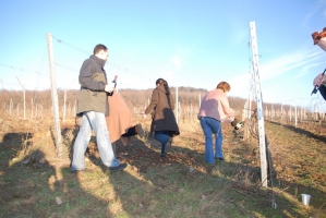 Vince nap Kisharsányban 2008
