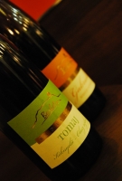 Badacsonyra gondolva