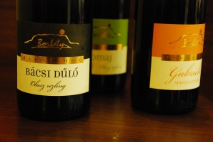 Badacsonyra gondolva