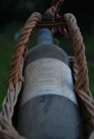 Fejezet egy szőlő életéből