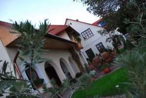 Fejezet egy szőlő életéből