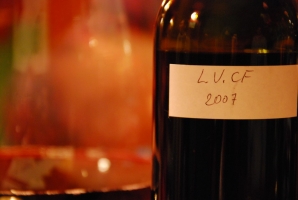 Fejezet egy szőlő életéből