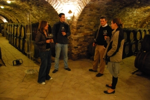 Fejezet egy szőlő életéből