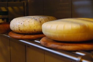 Pozsa Panni  sajtkészítő