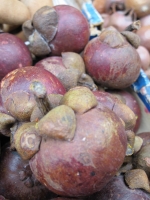 Multikulináris Bécsi Szelet