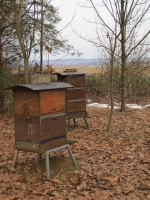 Südburgenland téli álma