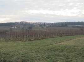 Südburgenland téli álma