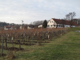 Südburgenland téli álma