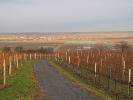 Südburgenland téli álma